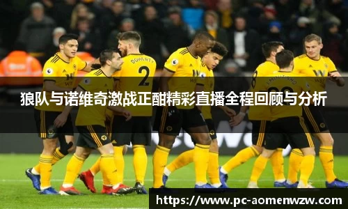 狼队与诺维奇激战正酣精彩直播全程回顾与分析