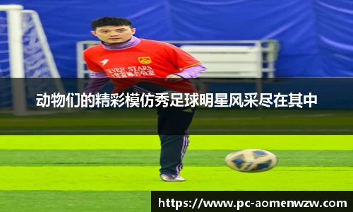 动物们的精彩模仿秀足球明星风采尽在其中